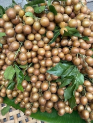  tại Quảng Nam
