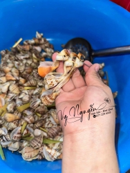 ch Lên Đơn Shipper Chạy Ship Nhanh Luôn Ngen tại Quảng Nam