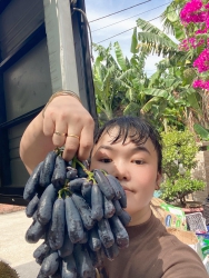 đen thui lui ni hến ngọt mới đời tại Quảng Nam