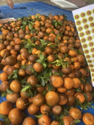 ch mua dề thờ cúng lun nha,dễ chi tại Quảng Nam
