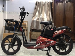 Tiết Lộ Xe Điện Chính Hãng Được Thanh Lý tại Quảng Nam