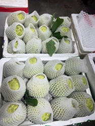 i to siêu ngon tại Quảng Nam