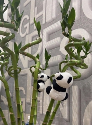 CÔNG TY TNHH TƯ VẤN THIẾT KẾ ĐẦU TƯ XÂY DỰNG 79DESIGN tại Quảng Nam