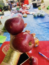 Giòn ngọt hơn táo mật khách nha, táo ngon xỉu á, ăn mà hén fun mật đã dã man tại Quảng Nam