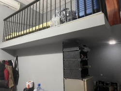 ng ngay KĐT Nam Việt  tại Quảng Nam