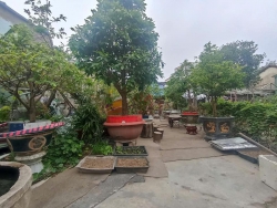 Bán đất kiệt 2 m, Nguyễn Như Hạnh tại Quảng Nam