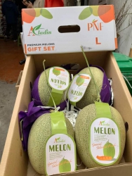 n giùm mấy thùng dưa lưới aladin siêu ngọt tại Quảng Nam