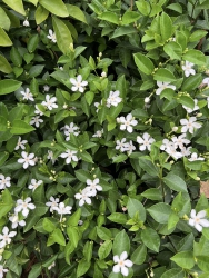 CÔNG TY TNHH TƯ VẤN THIẾT KẾ ĐẦU TƯ XÂY DỰNG 79DESIGN tại Quảng Nam