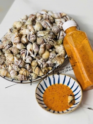 SẴN ỐC NHẢY - LÊN ĐƠN EM SHIP tại Quảng Nam