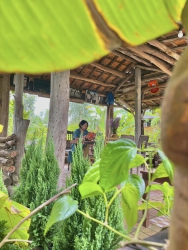 Soul Village - Hồn Quê Cafe tại Quảng Nam