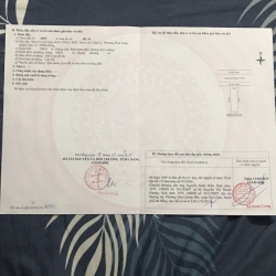 Hoa Xuan tại Quảng Nam
