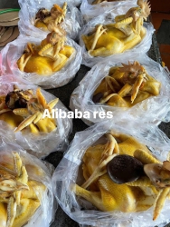 Cuối năm tất bật đã có Alibaba lo nhé tại Quảng Nam