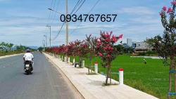 View lúa Phường Trường Xuân - Tam Kỳ tại Quảng Nam
