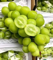  vẫn rẻ hờiiii tại Quảng Nam