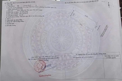 Chào Bán lô đất vàng tại Hoà Minh 21 đấu lưng Hồ Tùng Mậu tại Quảng Nam