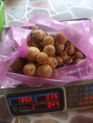 Khóa học nấu ăn chuyên nghiệp tại Quảng Nam
