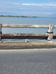 Phát hiện đôi giày mới trên cầu Câu Lâu tại Quảng Nam