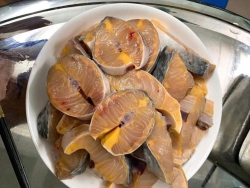 Sang niềm đam mê cá tầm cho căn nhà của bạn tại Quảng Nam