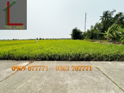 Bán đất diện tích lớn tại Cẩm Châu, view trực diện lúa tại Quảng Nam