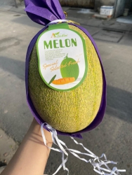 n giùm mấy thùng dưa lưới aladin siêu ngọt tại Quảng Nam