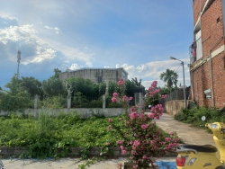 t triển cao tại Quảng Nam