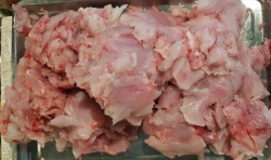 c và Khổ qua tươi ngon tại Quảng Nam