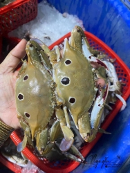 Không muốn trở thành một chút 3 điểm, bao gồm gạch. tại Quảng Nam