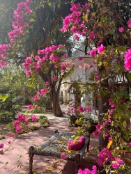 Chính chủ cần tiền bán gấp 210m² ngang 14m đã tách sẵn 2 lô ngay sát đường nhựa giá chỉ hơn 1 tỷ tại Quảng Nam