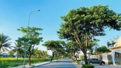 Cần bán lô đất tại Quảng Nam