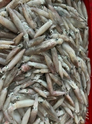 Mực Cơm Sáng Nay tại Quảng Nam