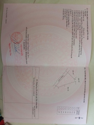 Cho 42 triệu chỉ bằng Cho 1 Cuốn Sổ Hồng thơm phức 154m2 Đất trồng cây tại Quảng Nam