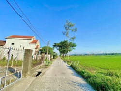 SIÊU PHẨM VIEW LÚA TTTP TAM KỲ tại Quảng Nam