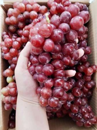 Mình gom hàng mùng 1 nha cả nhà  tại Quảng Nam