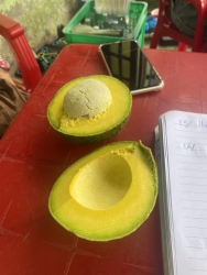 Bán Cơm Bơ Bôth Cuối Mùa tại Quảng Nam