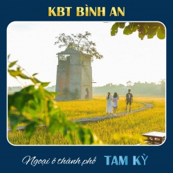 Đất View Đồng Xanh Thoáng Mát, cách TP Tam Kỳ chỉ 8km tại Quảng Nam