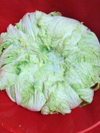 Kim Chi Hàn Quốc tại Quảng Nam