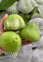 mai mấy chị tới công chiện với e hân nề ...! tại Quảng Nam