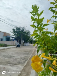 Khu Biệt Thự Tây Yên tại Quảng Nam