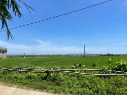 Bán đất Đường Lúa Điện Phương, diện tích 15m x 21m, sổ hồng, đường ô tô tận nơi tại Quảng Nam