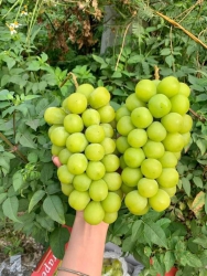 Dễ ăn siêu ngon tại Quảng Nam