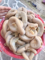 Sáng nay bỏ quán dư ít ký Phèo Bò Non tại Quảng Nam