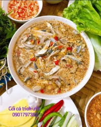 Goi Ca Trich Nam O Goi Suea Ngam Mam Nhi An Kem Va Rau Rung La Mieng An Ko Bi Tanh Va Ko He Ngan tại Quảng Nam