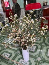 Chỉ hơn 700 triệu sở hữu ngay lô đất sát phố chợ Nam Phước tại Quảng Nam