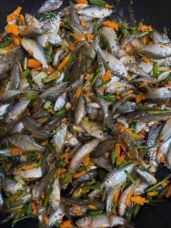 Cá cấn sáng nay tươi nhớt cá cấn sông nhỏ ngon lắm mấy chị trời này kho măn ăn hết cơm nha tại Quảng Nam