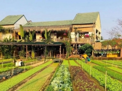 TRÀ QUẾ ĐẸP - SỐ 58 CŨNG ĐẸP NỮA NÊN CHẮC KHÔNG AI TRẢ Z tại Quảng Nam