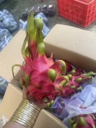 Tóc Rị Thờ Của Long Đỏ Về Ngọt Lịm tại Quảng Nam